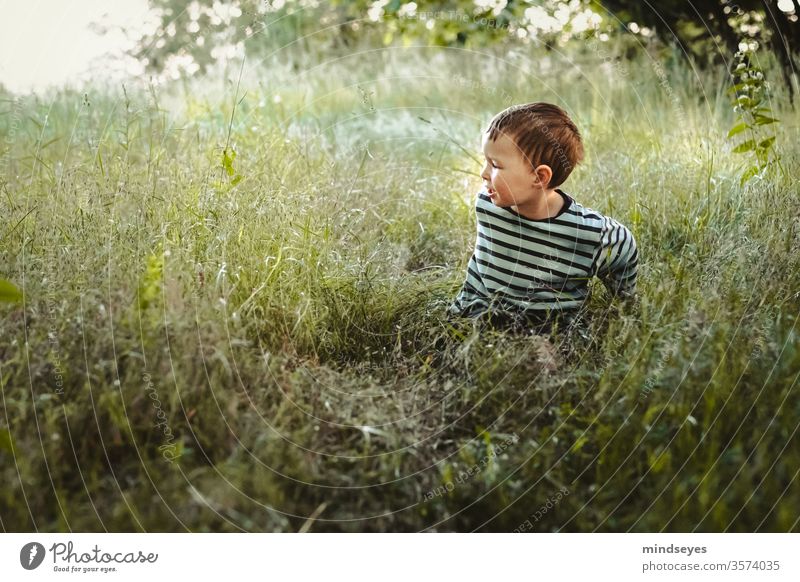 Kleiner Junge im Ringelpulli sitzt in einer Wiese Kind Mensch Porträt Freude Farbfoto Fröhlichkeit Kindheit Glück 3-8 Jahre Lebensfreude Spielen lächeln Gras