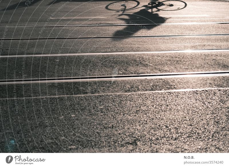 Schatten eines Fahrradfahrers auf dem Asphalt Fahrradfahren Straße Asphaltierung Gleise Außenaufnahme Freizeit & Hobby Verkehr Verkehrsmittel Stadt Tag Farbfoto