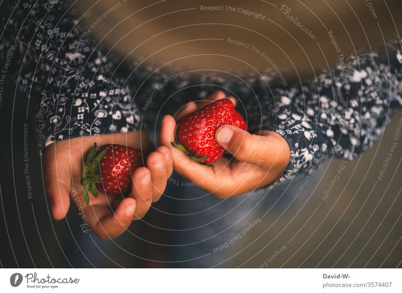 kleines Kind hält zwei Erdbeeren in den Händen Mädchen festhalten rot saftig lecker Obst Gesunde Ernährung gesund Lebensmittel Frucht fruchtig Gesundheit Ernte