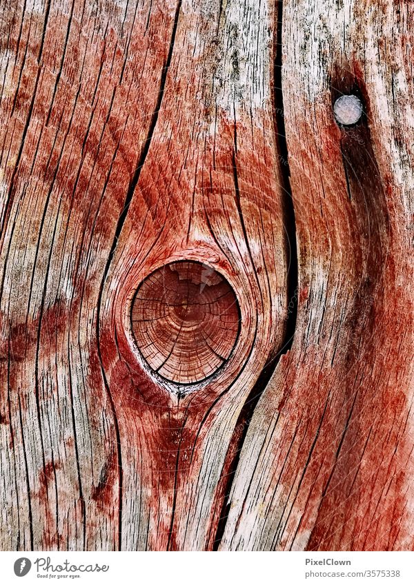 Asteinschluß in einem Holzzaun holz Bioprodukte Natur Farbfoto rot