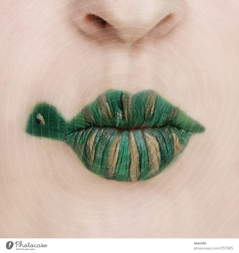 Panzerlippen Freizeit & Hobby Mensch maskulin feminin Kopf Gesicht Lippen 1 Tier Haustier grün Schildkröte Schminke geschminkt angemalt lustig Idee Farbfoto