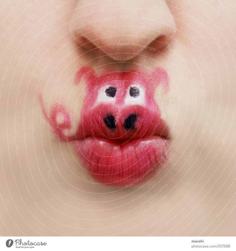 Schwein gehabt.... Mensch maskulin feminin Tier rosa Nase Mund tierschutz Schweinerei Ferkel angemalt geschminkt Schminke Tierliebe Lippen Glücksschwein