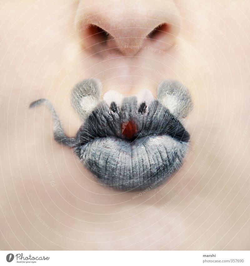 Mäuschen spielen Mensch feminin Gesicht Nase Mund 1 Tier grau Maus mäuschen Schminke Idee Tierschutz Tierporträt tierisch angemalt Farbfoto Studioaufnahme
