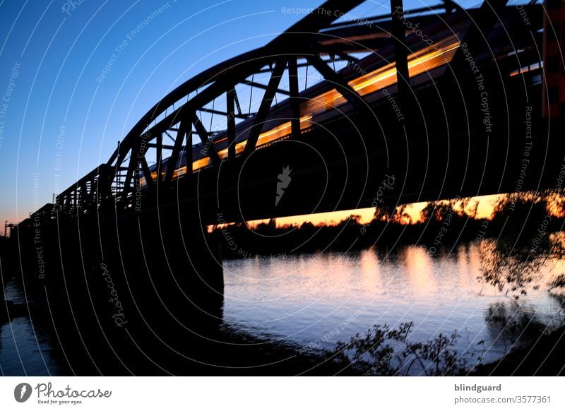 Abends unter der Bahnbrücke über den Main stimmungsvoll Eisenbahnromantik Licht Sonnenuntergang Brücke Schienenverkehr ÖPNV Beleuchtung Wasser Bäume Ufer