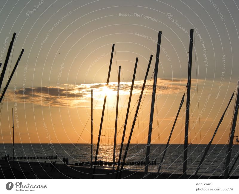 Sonne und Boote Sonnenuntergang Meer Strand Wasserfahrzeug Katamaran Strommast mäste Ostsee