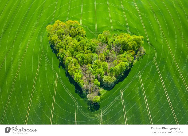 Luftaufnahme des Waldherzens in den grünen Feldern. Natürliches Liebes-Valentinssymbol. oben Antenne Ackerbau erstaunlich Hintergrund schön Farben Konzept