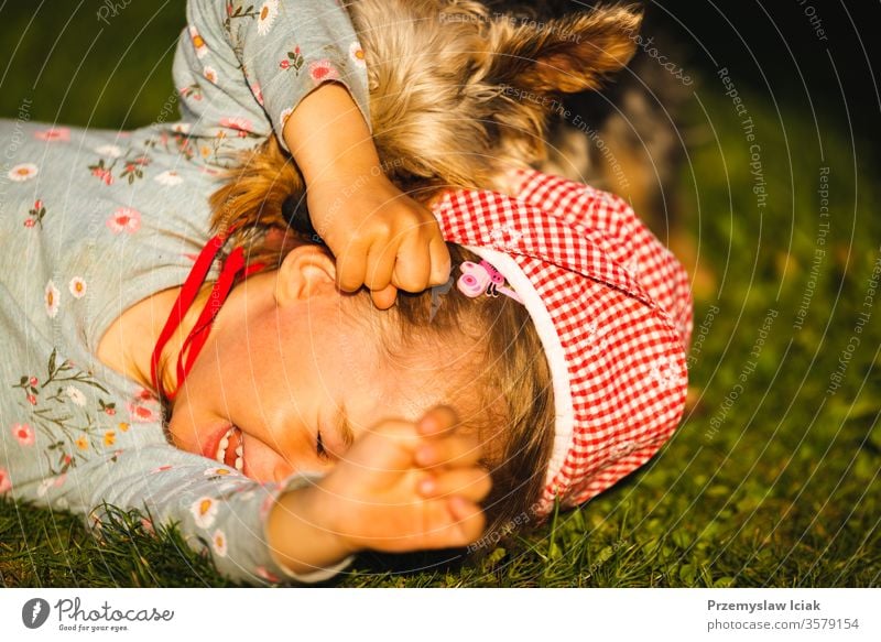 Porträt eines schönen kleinen 2-jährigen Mädchens, das im Gras liegt und mit einem Yorkterrier lacht. Terrier Kind lecken Kindheit niedlich Spielen Hund