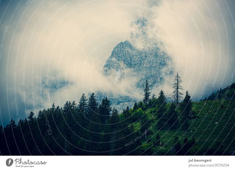 Morgennebel in den Bergen Berge u. Gebirge Wald Nebel Schleier Stimmung mystisch Wolken
