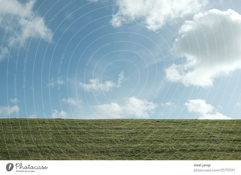 Deichkante, Horizont, Sommerhimmel Hintergrund neutral wolken blauer Himmel Minimalismus reise norddeutschland Küste Nordsee tourismus Niederlande grün