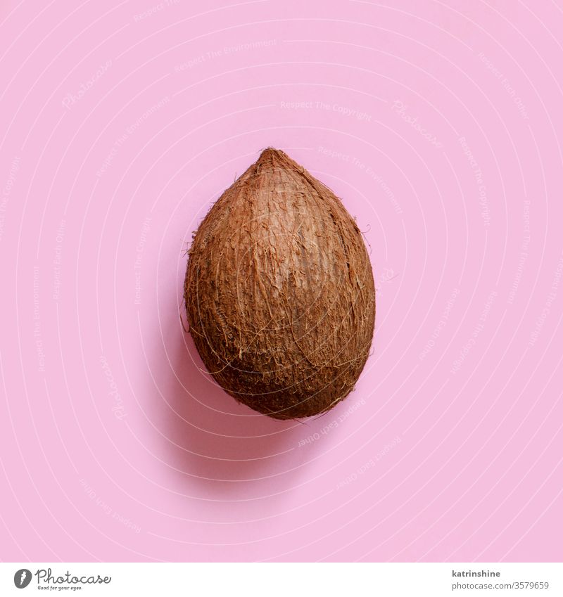 Ganze Kokosnuss auf hellrosa Hintergrund - Draufsicht Keton Frucht Pastell Bestandteil Nut Ernährung Veganer Vegetarier Veggie weiß braun süß Gesundheit