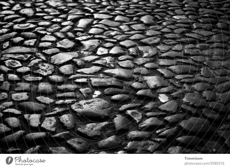 Alte Steine, alte Straße in alter Stadt Bodenbelag uneben glatt Licht Schatten Kontrast Schwarzweißfoto dunkel Wege & Pfade Menschenleer Italien Rom