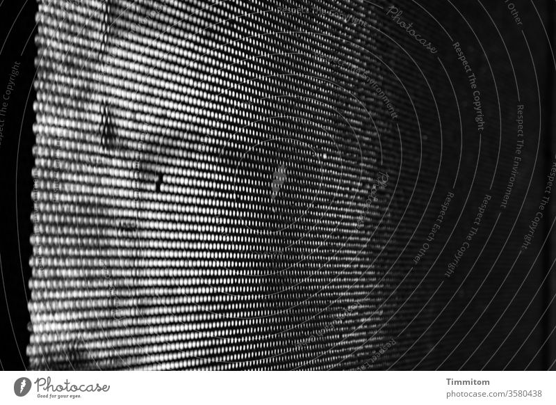 Dieses Gitter schützt irgendwie vor allem Metall schlampig Löcher Licht Schatten Einbildung Schwarzweißfoto schwarz Kontrast Menschenleer Gefühle Italien