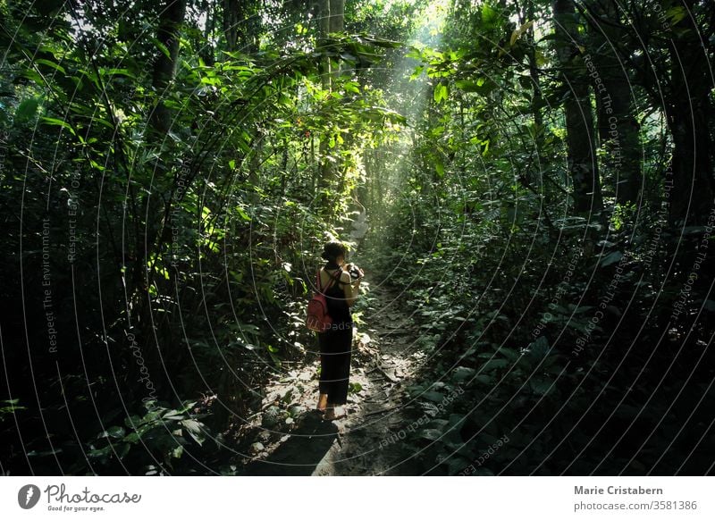Ein heilsamer Spaziergang ins Herz des Waldes im Cuc-Phuong-Nationalpark Ninh Binh, Vietnam mich selbst finden auf der Suche nach Frieden