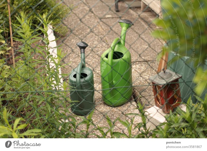Gartenarbeit. Zwei grüne Gießkannen stehen in einem Schrebergarten hinter einem Maschendrahtzaun maschendrahtzaun schrebergarten pflanzen gartenarbeit natur weg