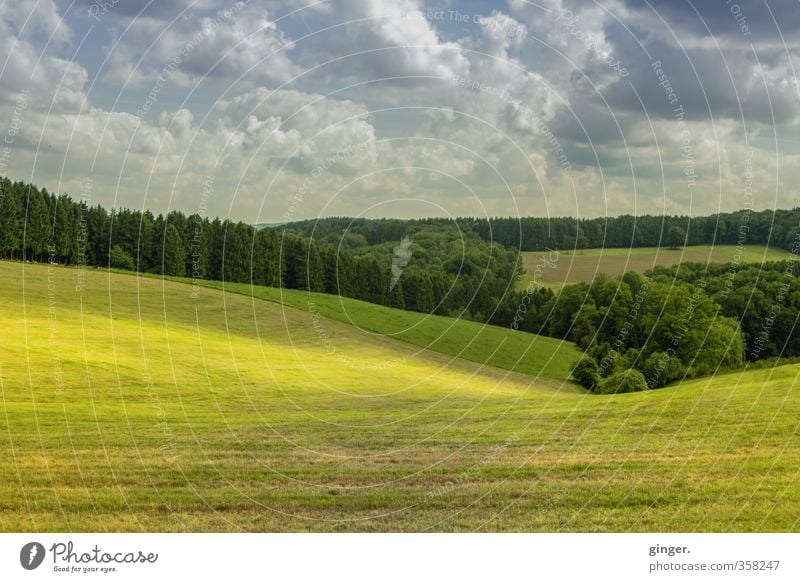 Licht legt sich über das Land Umwelt Natur Landschaft grün Sonnenlicht liegen Baum Wald Wolkenformation Schweben Tal Hügel Weide sanft abgegrenzt Grenze Feld
