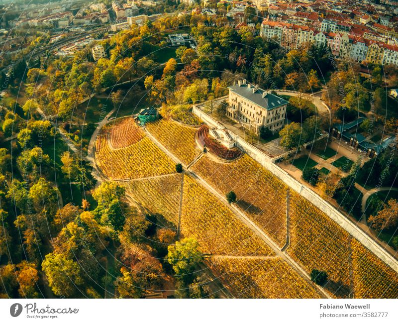 Luftaufnahme des Grebovka-Parks in Prag grün Gebäude Gras historisch europa Himmel modern Natur Windstille ruhig Öffentlich Fernsehturm Straßenbahn friedlich