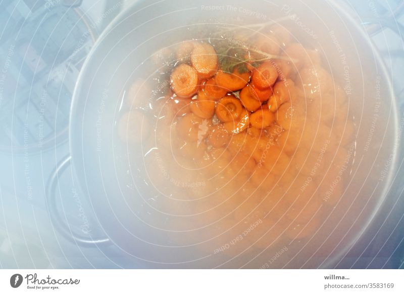 der photocase-pott, fein am köcheln gehalten und artig vor sich hin dampfend Möhrentopf garen Karotten Petersilie Möhrengemüse Eintopf Kochtopf kochen Dampf