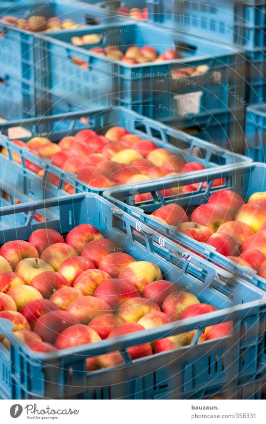 massenhaltung im käfig. Lebensmittel Frucht Apfel Ernährung Bioprodukte Vegetarische Ernährung Diät Fasten Gesundheit Gesunde Ernährung Handel Gastronomie