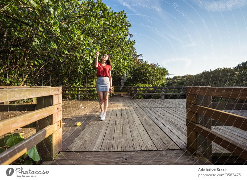 Junger Reisender steht auf Holzbrücke über Wald Tourist Brücke Tourismus malerisch Fernweh Harmonie Waldgebiet Haare berühren Grün Urlaub friedlich Sightseeing