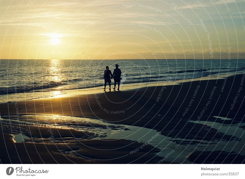 Strandspaziergang Meer Sonnenuntergang Sonnenaufgang ruhig Amrum Romantik Erholung Vertrauen Küste Nordsee Insel friedlich