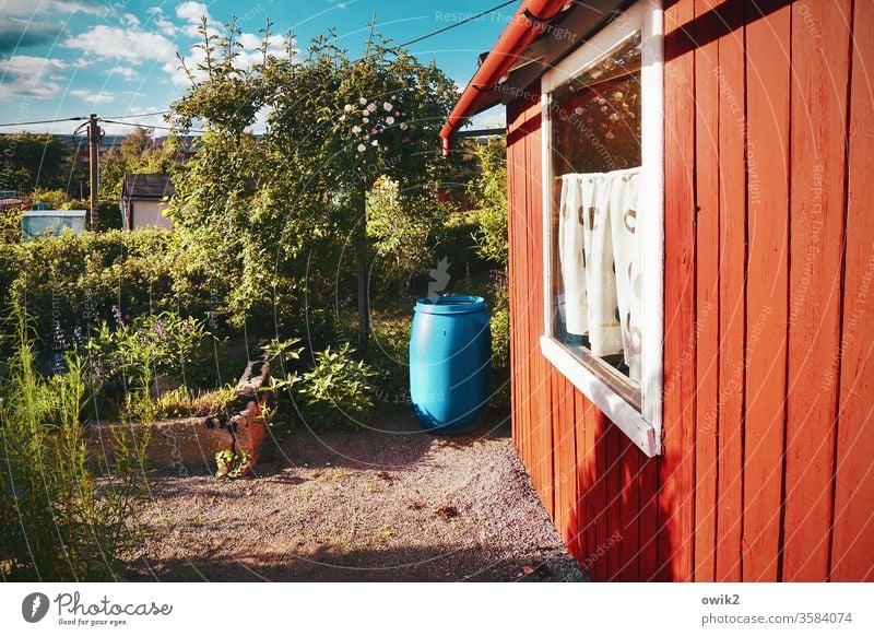 Knalleffekt Garten Sonnenlicht Menschenleer Außenaufnahme Farbfoto rustikal leuchtende Farben rot Idylle blau einfach alt Holz Kunststoff Stein Schrebergarten