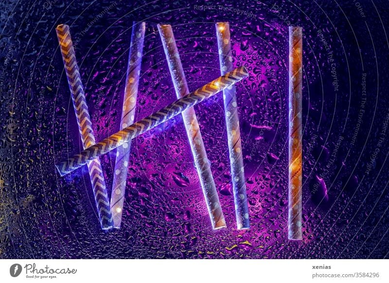 Sechs gezählt - Trinkhalme aus Papier mit violetter Beleuchtung und Wassertropfen sechs 6 abstrakt nass Papiertrinkhalm Tropfen Flüssigkeit lila Hintergrundbild