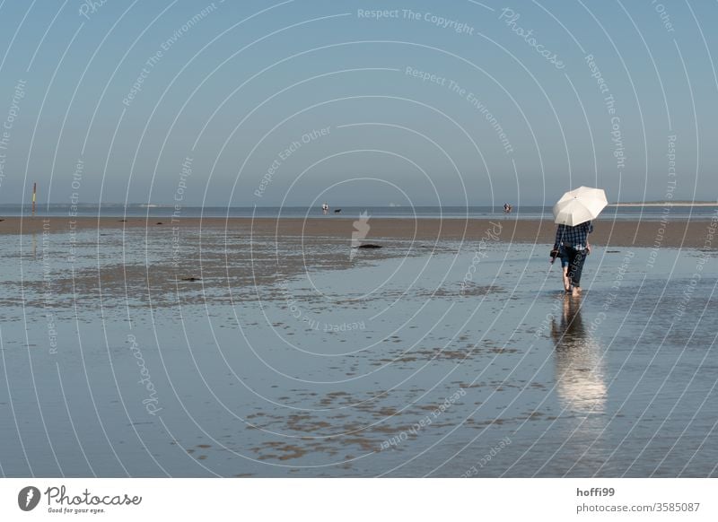 Wandern im Watt bei Ebbe mit Sonnenschirm Schirm gehen 1 Mensch Wattenmeer Meer Bewegung hell maritim nass Nordsee Küste Wege & Pfade Erholung Einsamkeit