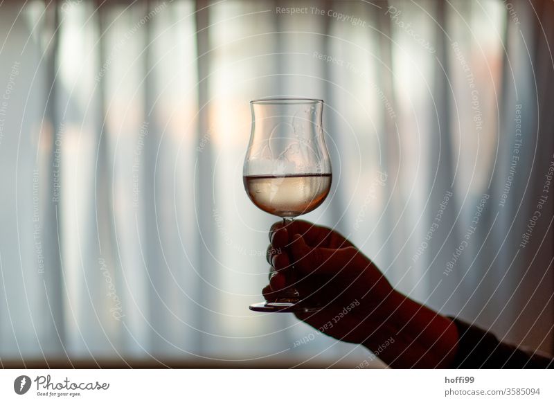 ein Glas Rosé vor Gardinen im diffusen Halbdunkel des Raumes Wein Zuprosten trinken Alkohol Hand Restaurant Weinglas Bar Sucht Alkoholismus Alkoholsucht