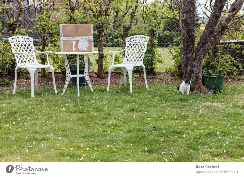 Sitzplatz im Garten mit Paket und Katze sitzplatz grün Außenaufnahme Menschenleer Farbfoto Sommer Wiese weiß Metall Apfelbaum Rasen im Freien Haustiere