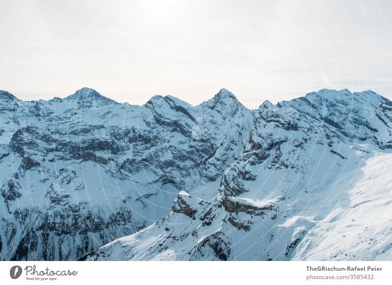verschneite schweizer Berge Berge u. Gebirge Schnee Schweiz Schilthorn Winter Himmel Alpen Panorama (Aussicht) Eis kalt Außenaufnahme Landschaft Gipfel