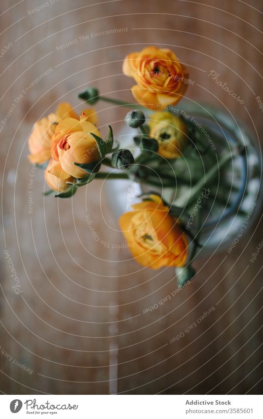 Bouquet von zarten Pfingstrosen in Glasvase Blumenstrauß Haufen hölzern Tisch rustikal Stil Hintergrund frisch filigran natürlich orange Blütezeit Sommer Saison