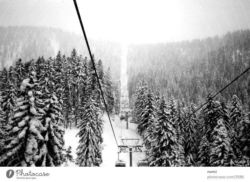 Schneelandschaft Tanne Fahrstuhl Berge u. Gebirge Kontrast