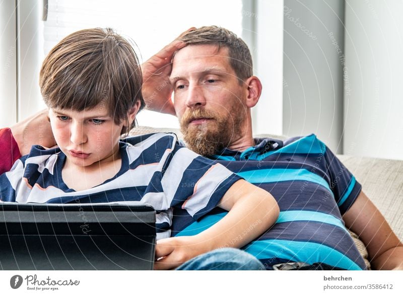 unnötig | zockerei gemeinsam Spielen Tablet Computer Familie & Verwandtschaft Eltern Sohn Vater Zusammensein konzentriert Konzentration zu Hause arbeiten