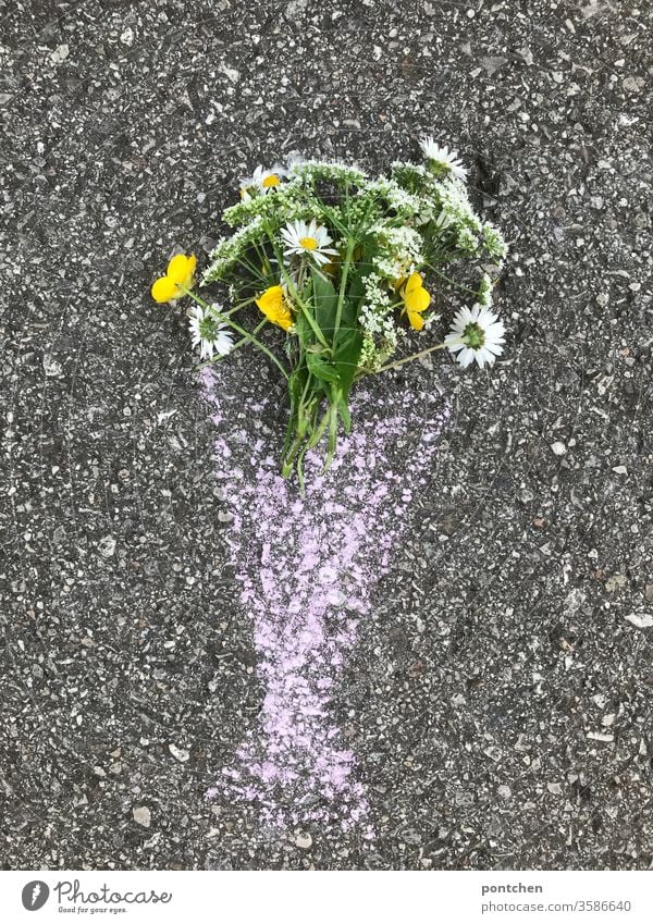 Muttertag. Wiesenblume in einer Blumenvase aus Straßenkreide gemalt. Kinderspiel, Kreativität blumenstrauß straßenkreide kinderspiel malen gänseblümchen asphalt