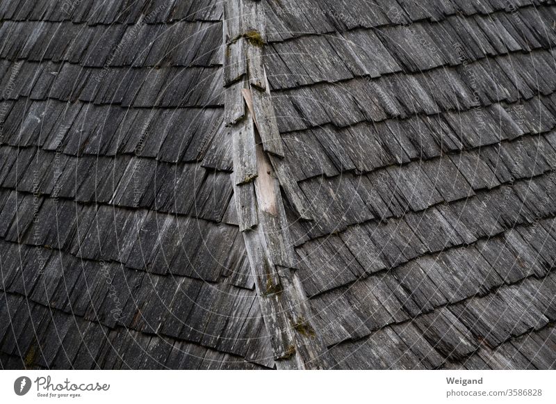 Holzdach Krimi düster alt historisch Dach Schindeln Kelten First Regenwetter dunkel finster grau Ziegel
