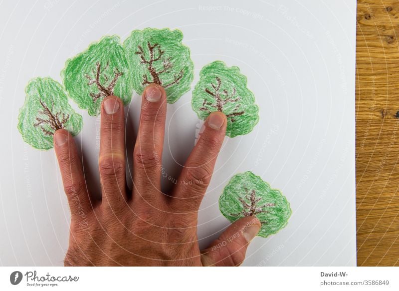 Umwelt - helfende Hand umweltfreundlich Umweltschutz nachhaltig Nachhaltigkeit pflanzen Pflanze Baum bäume Gärtner Pflanzenschutz wachsen Wachstum