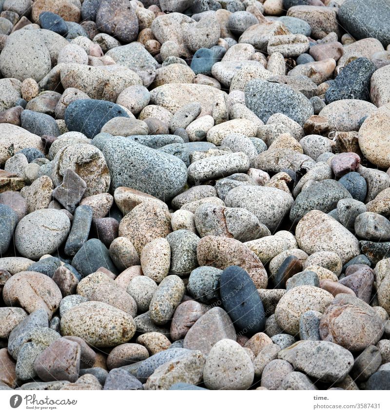 Strandgedeck oberfläche kies steine strand küste ostsee viel unterschiedlich divers viele gemeinsam zusammen bunt rauh individuell element