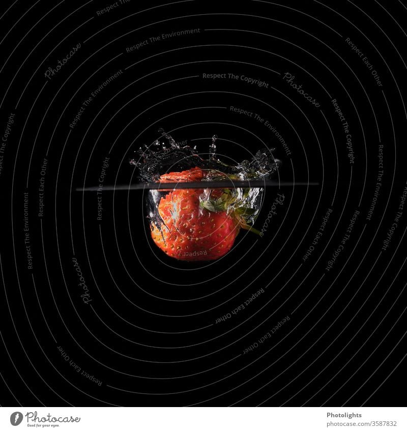 Erdbeere fällt ins Wasser - Bild mit schwarzem Hintergrund Erdbeeren Frucht rot Ernährung Lebensmittel lecker Farbfoto frisch Gesundheit Vegetarische Ernährung