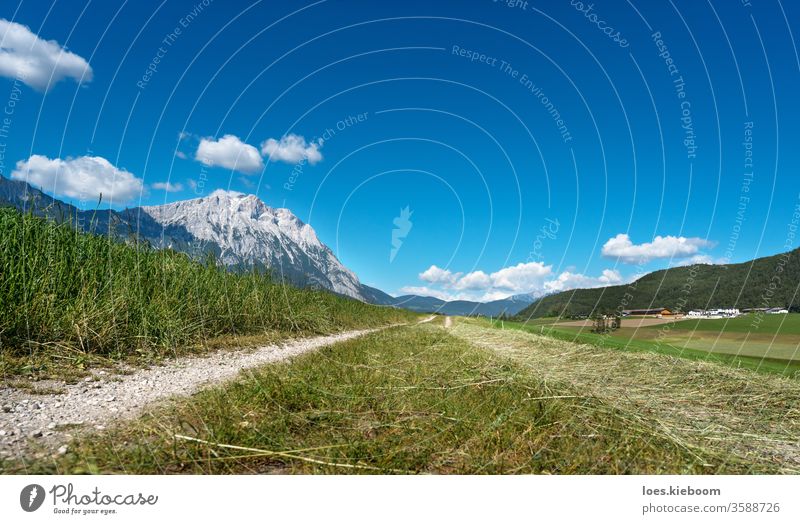 Pfad durch landwirtschaftlich genutzte Wiesen in den österreichischen Alpen, Mieminger Plateau, Tirol, Österreich Landschaft Berge Himmel Natur Weg Sommer