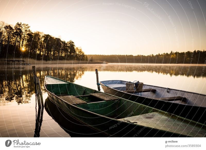 Boote bei Sonnenaufgang auf dem See Schorfheide Morgen Ruhe Wasser Stille Spiegelung Frieden Landschaft Natur Ferien & Urlaub & Reisen Außenaufnahme Idylle