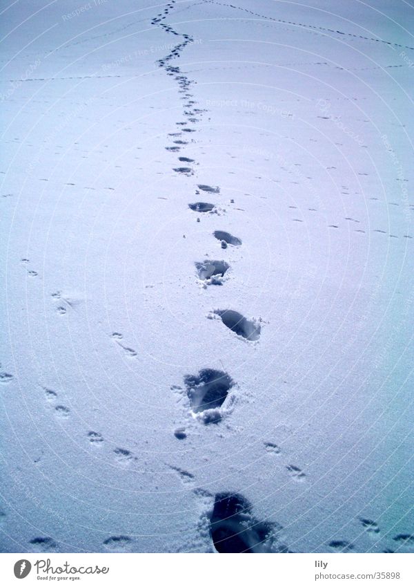 Spuren im Schnee #4 Schneedecke geheimnisvoll Mensch Sonne Verfolgung Fährte