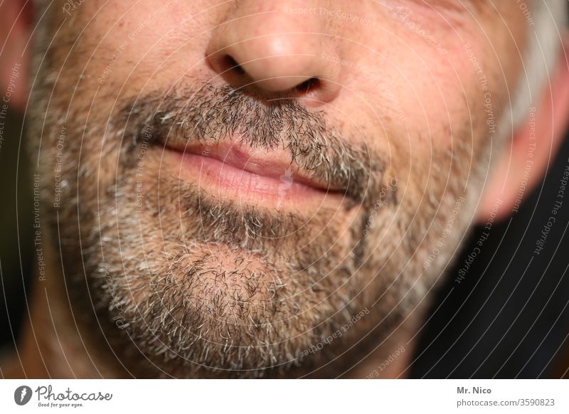 alt I er Bart maskulin Mund Lifestyle grau bärtig Behaarung Pflege Dreitagebart grauhaarig Mann Gesicht Lippen Vollbart Nase Nasenspitze Kinn Haut Alterung
