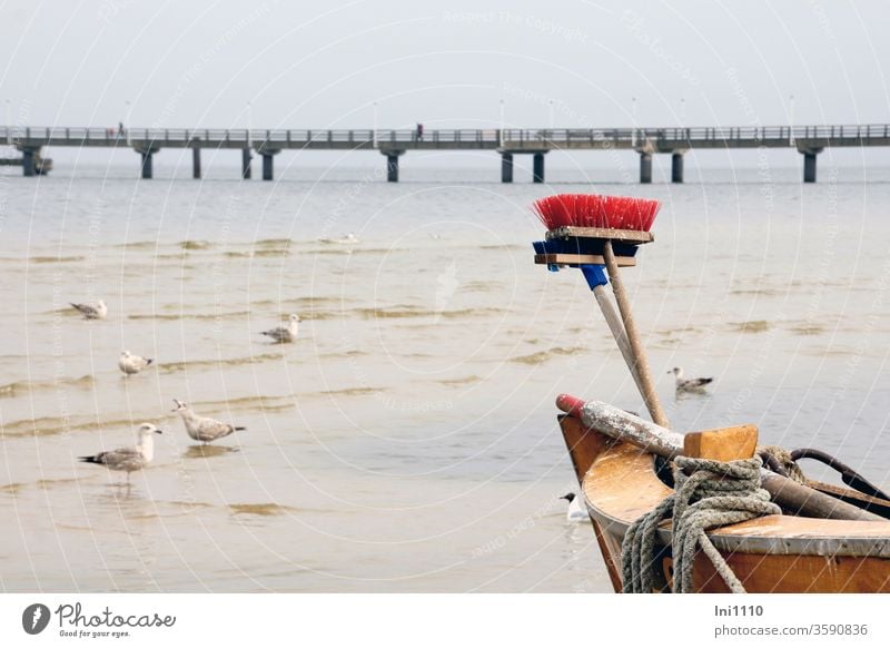 Teilansicht Fischerboot mit Besen Möwen auf Futtersuche vor Seebrücke Ahlbeck Insel Usedom angelegt Taue Fischfang Möwenvögel möwen Ostseeinsel Ostseeurlaub