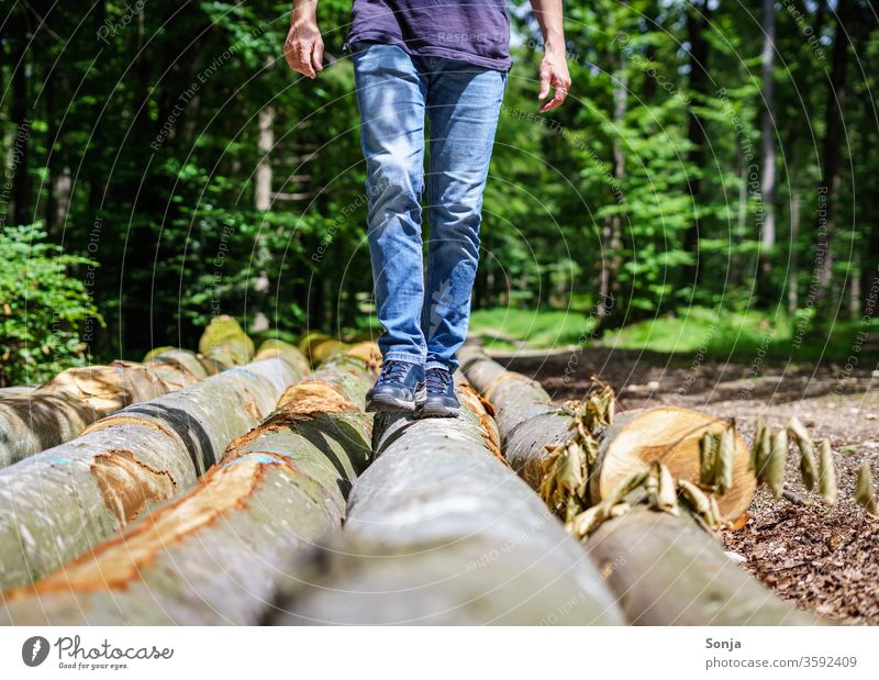 Mann balanziert über einen Baumstamm im Wald balanzieren gehen über 40 Natur Mensch Außenaufnahme Einsamkeit grün Blatt Tag Umwelt natürlich Licht Pflanze