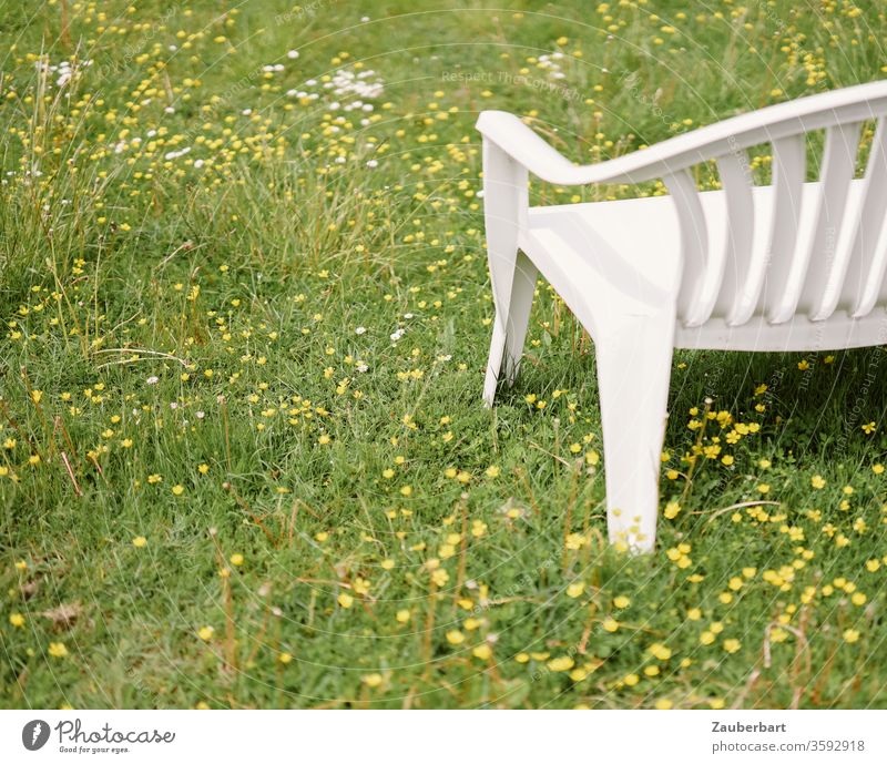 Weiße Gartenbank aus Plastik steht auf einer Wiese mit gelben Blumen Bank Gras ausruhen hinsetzen sitzen grün weiß Kunststoff Erholung Pause ruhig Park