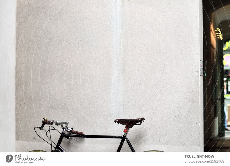 Pfff - Benzin stinkt! Näselte das schicke Hipster Fahrrad und streckte aufreizend seinen glänzenden Ledersattel in die Höhe, wobei es sich vor der weissen Wand eines Berliner Hinterhofs durchaus elegant zu inszenieren wusste