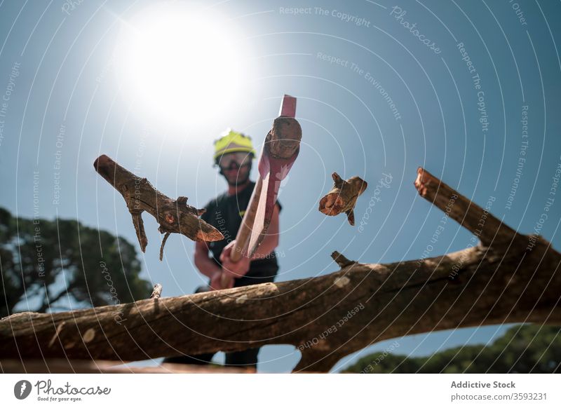 Männlicher Feuerwehrmann mit Axt, der einen Ast eines Baumes fällt Holzschnitt Wald geschnitten Blauer Himmel Waldarbeiter männlich hacken Uniform behüten Gerät