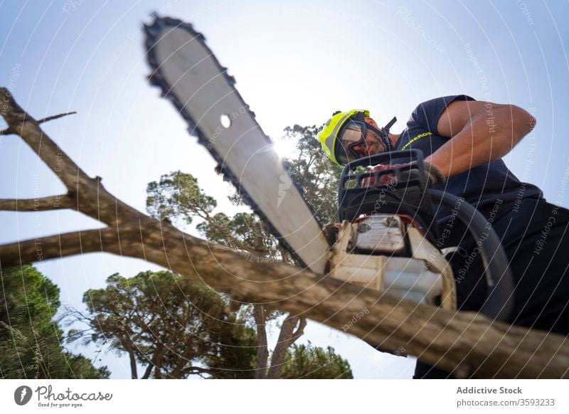 Feuerwehrmann mit Kettensäge schneidet Baumast Holzschnitt Wald geschnitten Waldarbeiter sonnig männlich Blauer Himmel Ast Uniform behüten Gerät Arbeit