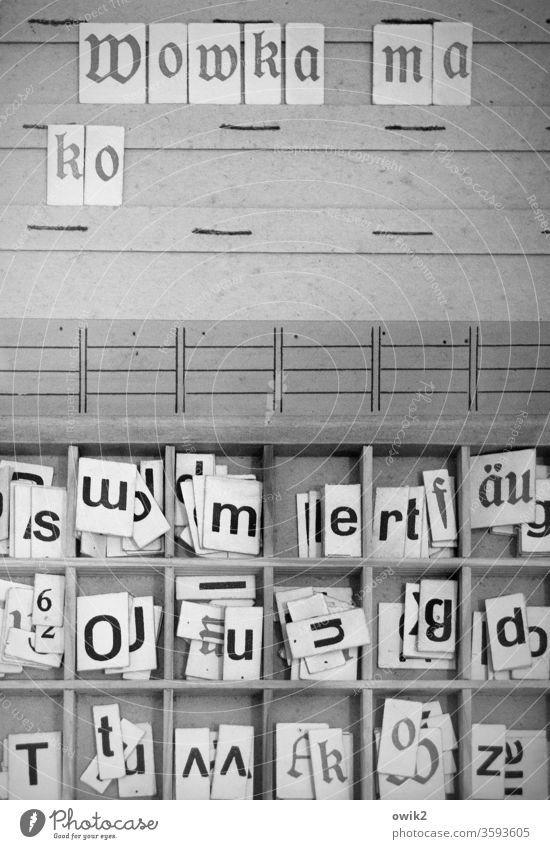 Alte sorbische Schule Schriftzeichen alt historisch Nostalgie Vergangenheit fein säuberlich akkurat Präzision Großbuchstabe Lateinisches Alphabet Fremdsprache