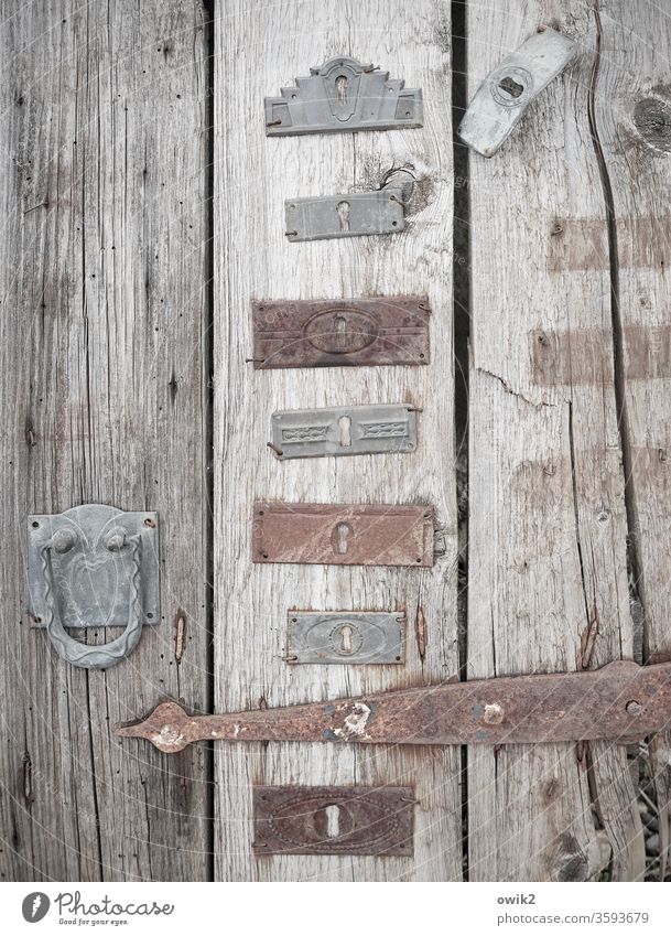 Beschlagen Tür alt Beschläge viele Holz Metall Rost früher Vergangenheit Vergänglichkeit Formen Muster Ornamente vornehm antik Farbfoto Außenaufnahme
